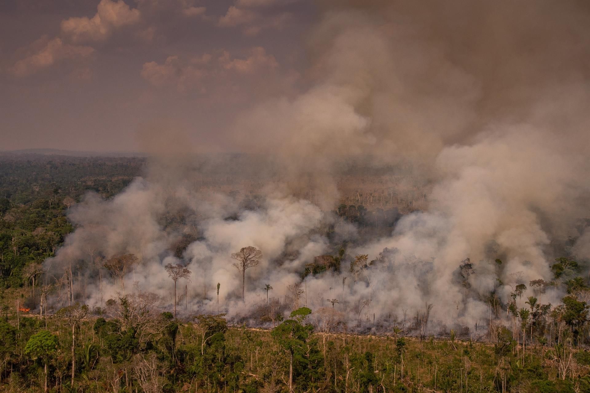 Vistas de uno de los fuegos de Amazonas /  Foto: Greenpeace - Christian Braga