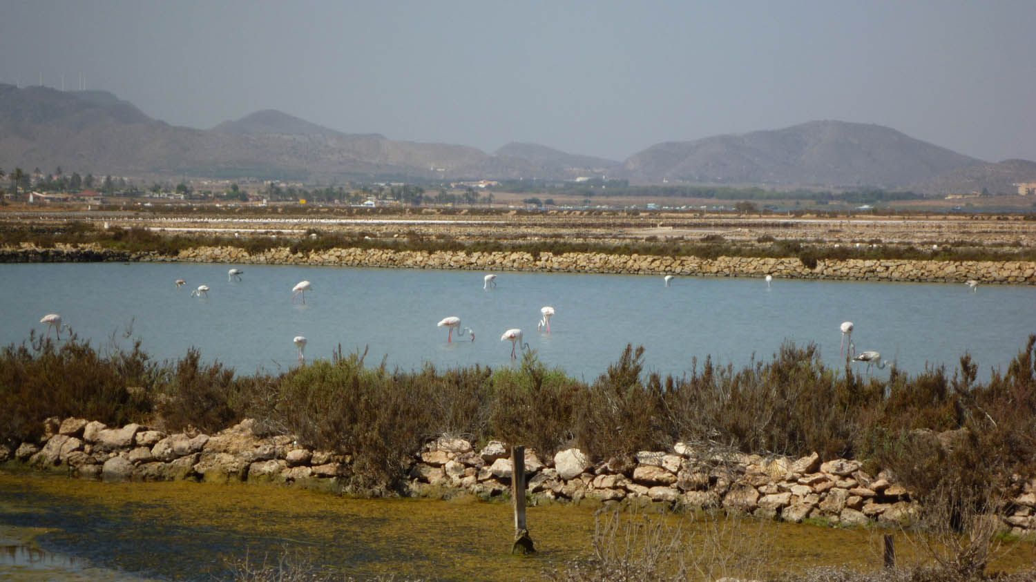 Marchamalo, espacio protegido situado en el extremo sur de La Manga del Mar Menor / Foto: Wikipedia