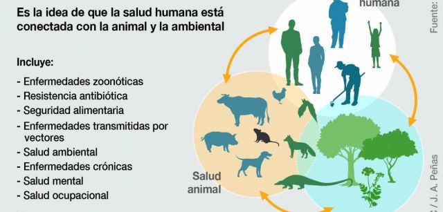 Explicación del concepto 'One Health' / Infografía: SINC Explicación del concepto 'One Health' / Infografía: SINC
