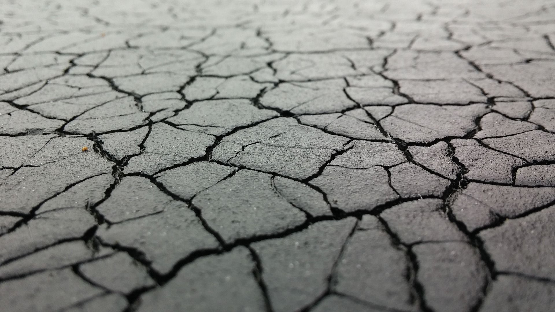 Porción de suelo bajo los efectos de la erosión y la deshidratación / Foto: Richard Middelborg - Pixabay 