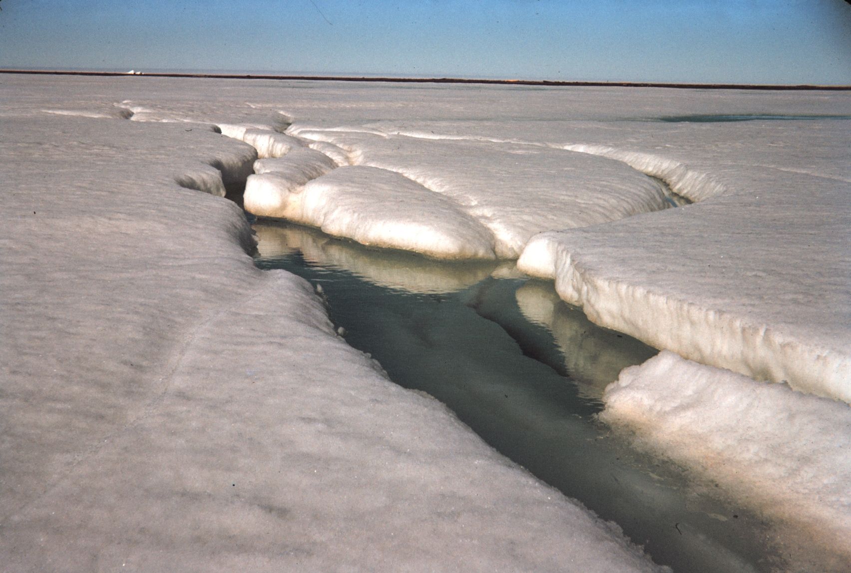 La banquisa o hielo marino, una capa de hielo flotante que se forma en las regiones oceánicas polares / Foto: Wikipedia