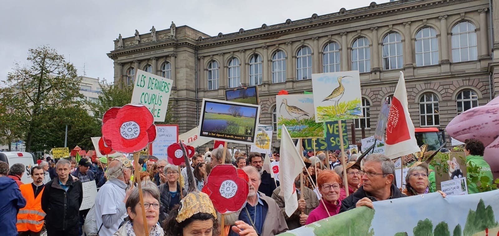Manifestantes de una de las 12 protestas en los distintos países europeos, por una PAC "verde y justa" / Foto: EP