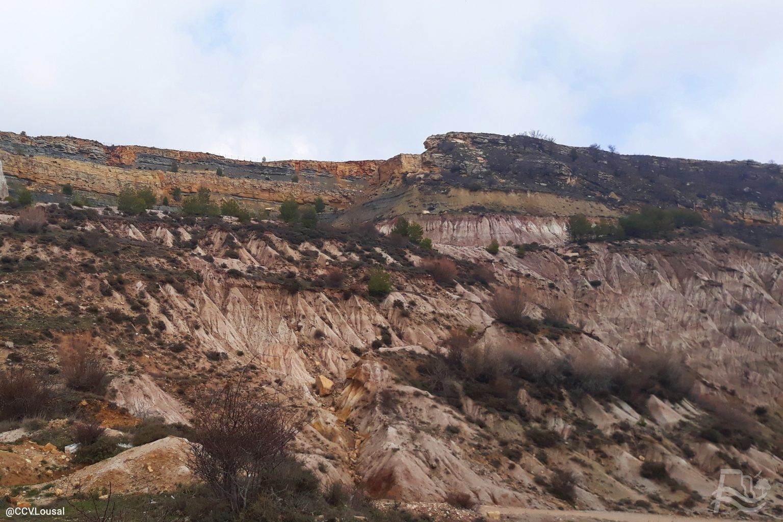 El proyecto europeo Life Ribermine va a revitalizar en el Alto Tajo las zonas que en su día fueron afectadas por la antigua minas / Life Ribermine