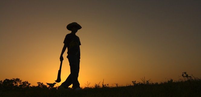 Las plantaciones ecológicas locales de pequeño tamaño son el futuro / Foto: Hugo Gómez