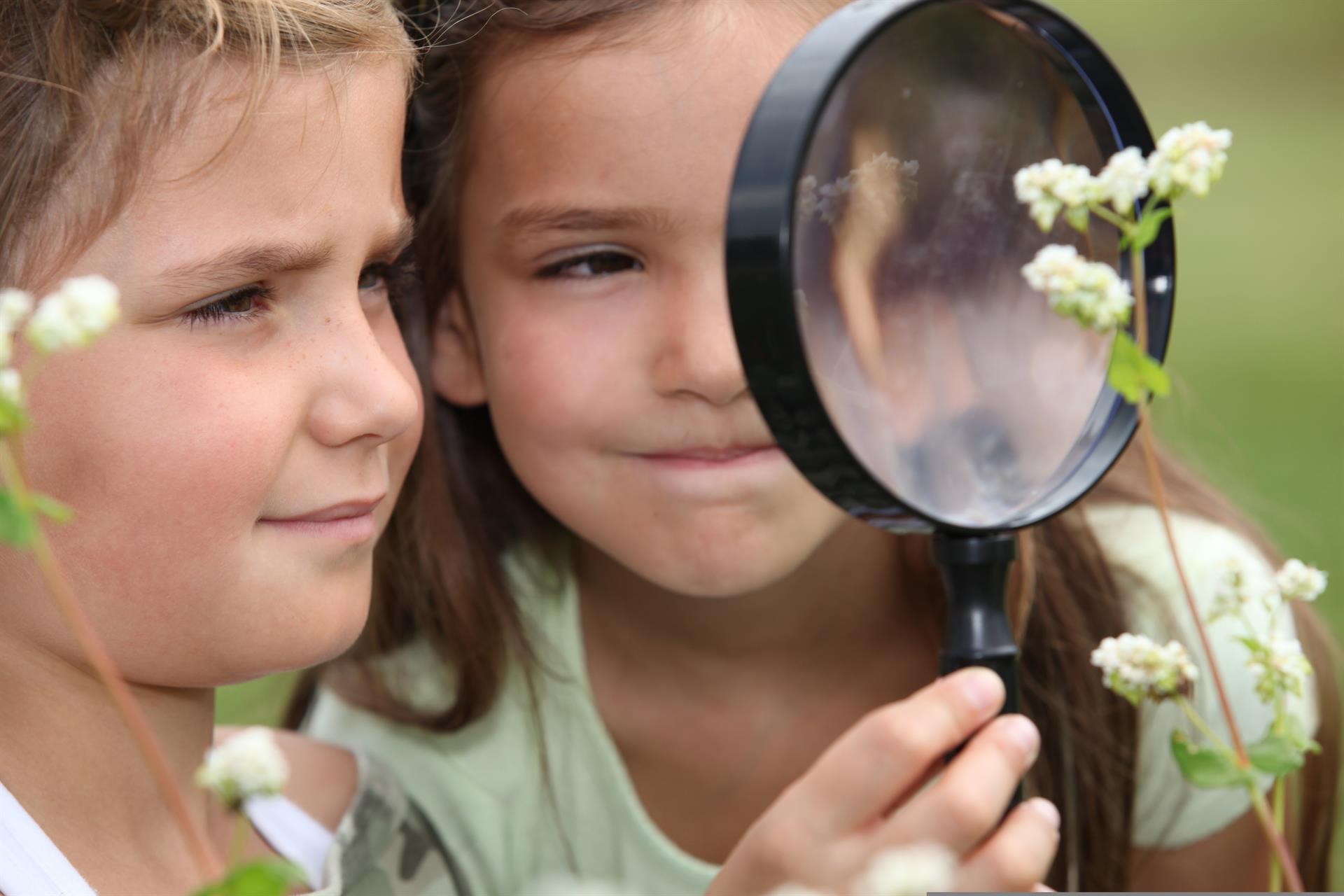 Dos niñas observan vegetación de la naturaleza a través de una lupa / Foto: EP