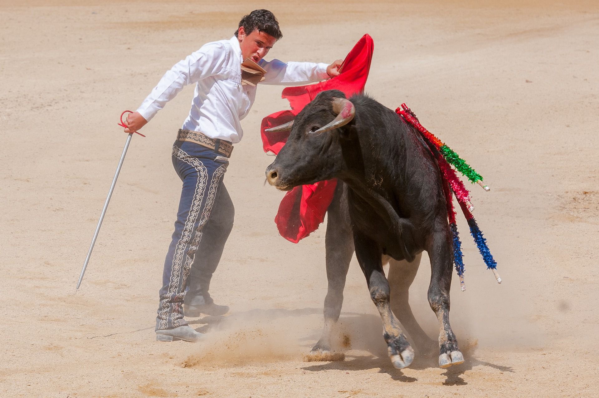 Corrida de toros durante un festejo de tauromaquia / Foto: Patrick Gantz - Pixabay