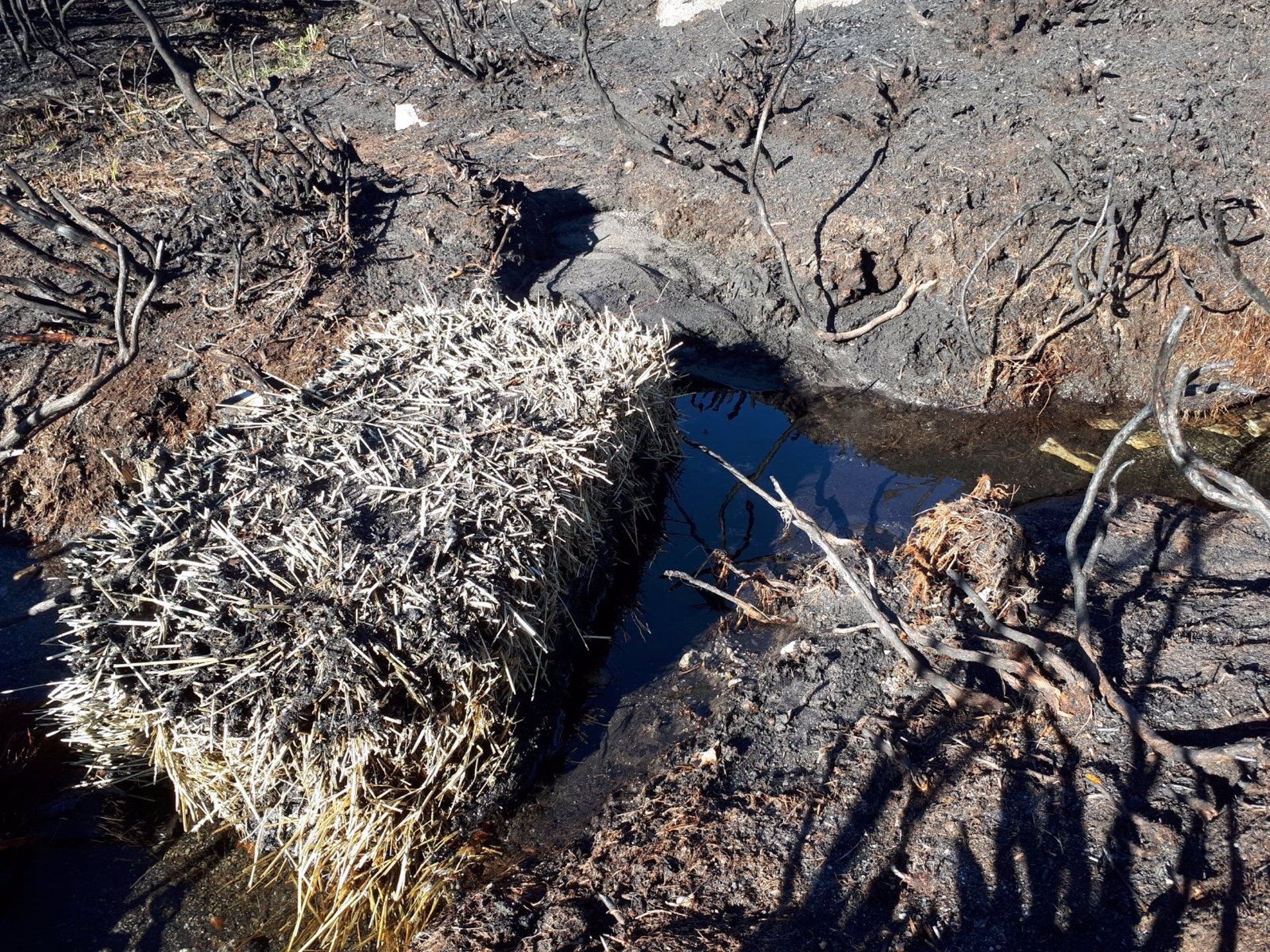 Erosión del suelo después de un incendio en Ourense / Foto: EP