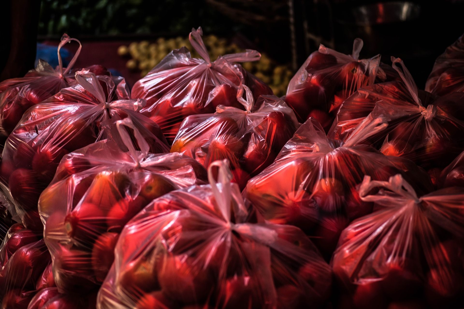 Bolsas de alimentos (tomate) apiladas unas sobre las otras / Foto: Suvajit Roy - Pixabay 