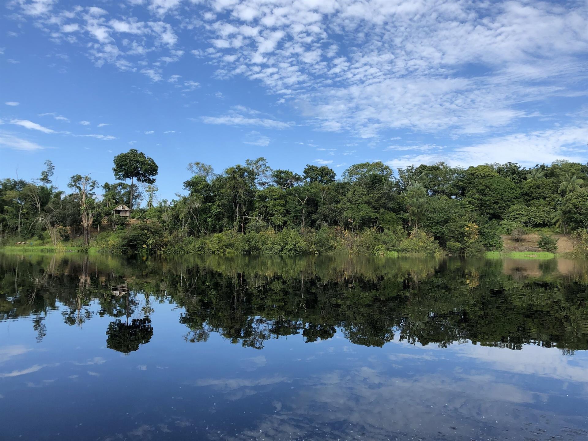 Selva Amazónica. 'Un planeta, un derecho' / Foto: EP