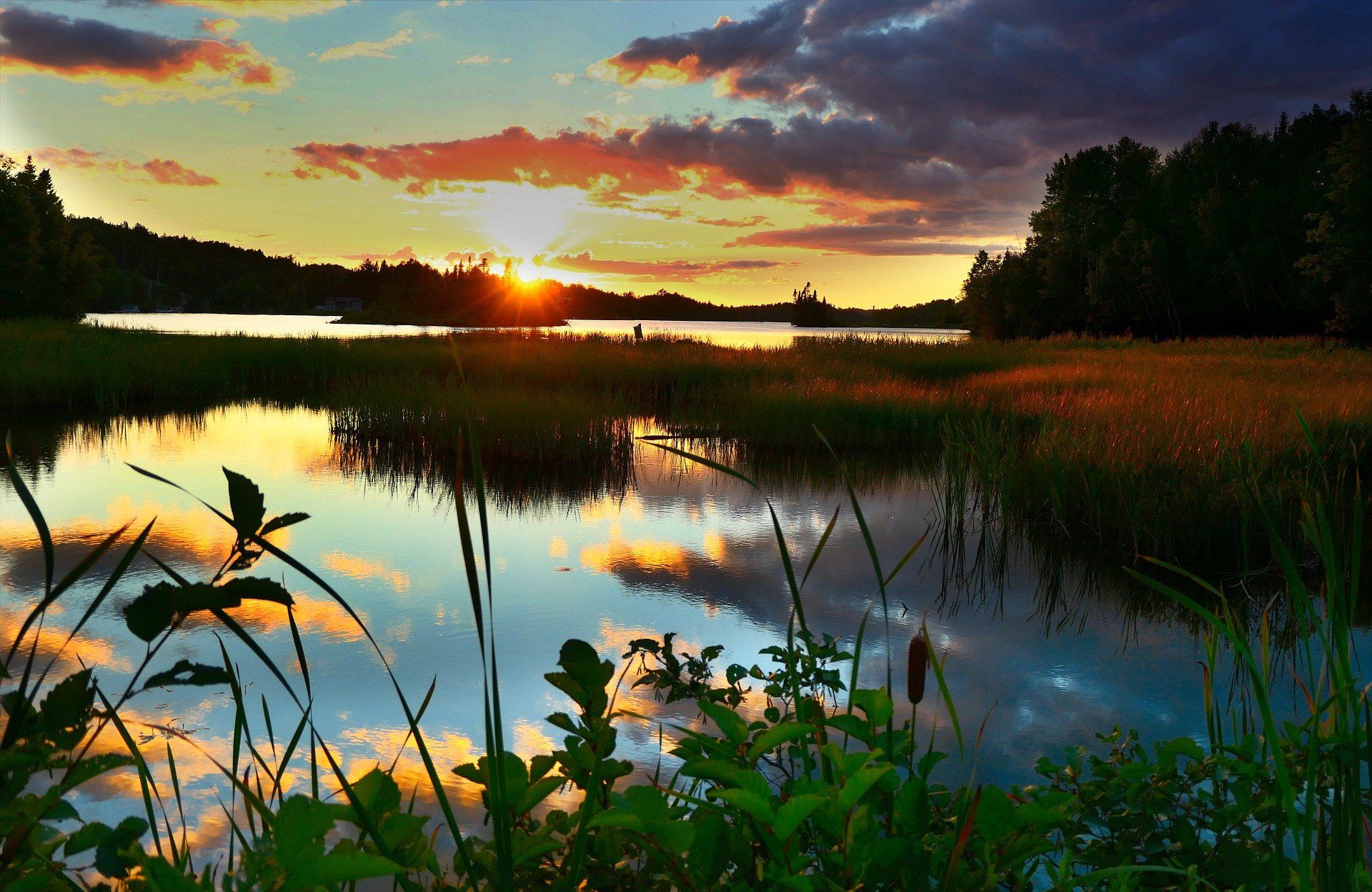 El cambio climático amenaza la biodiversidad de los ecosistemas acuáticos de Canadá / Foto: Pixabay