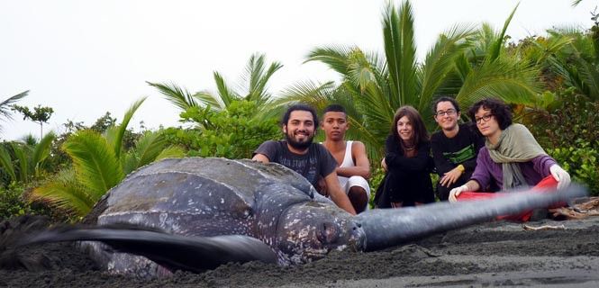 Participantes en un proyecto de protección de tortugas marinas en Costa Rica / Foto: Tarannà