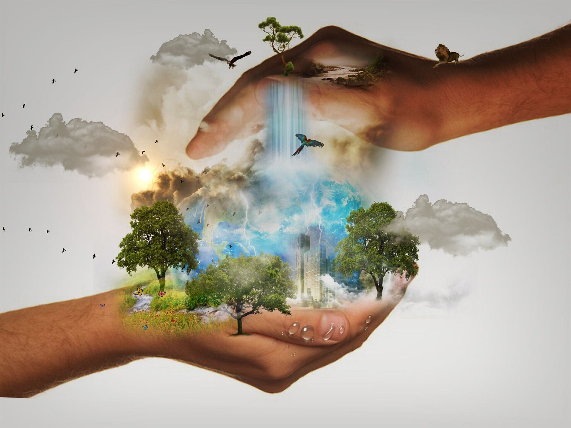 Una agenda verde pospandemia es esencial para nuestro bienestar, la salud, la biodiversidad o el cambio climático / Imagen: Pixabay