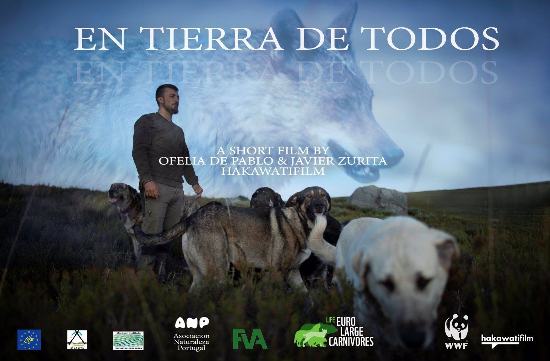El cortometraje 'En Tierra de Todos' de WWF España analiza la coexistencia de lobos y pastores / EP