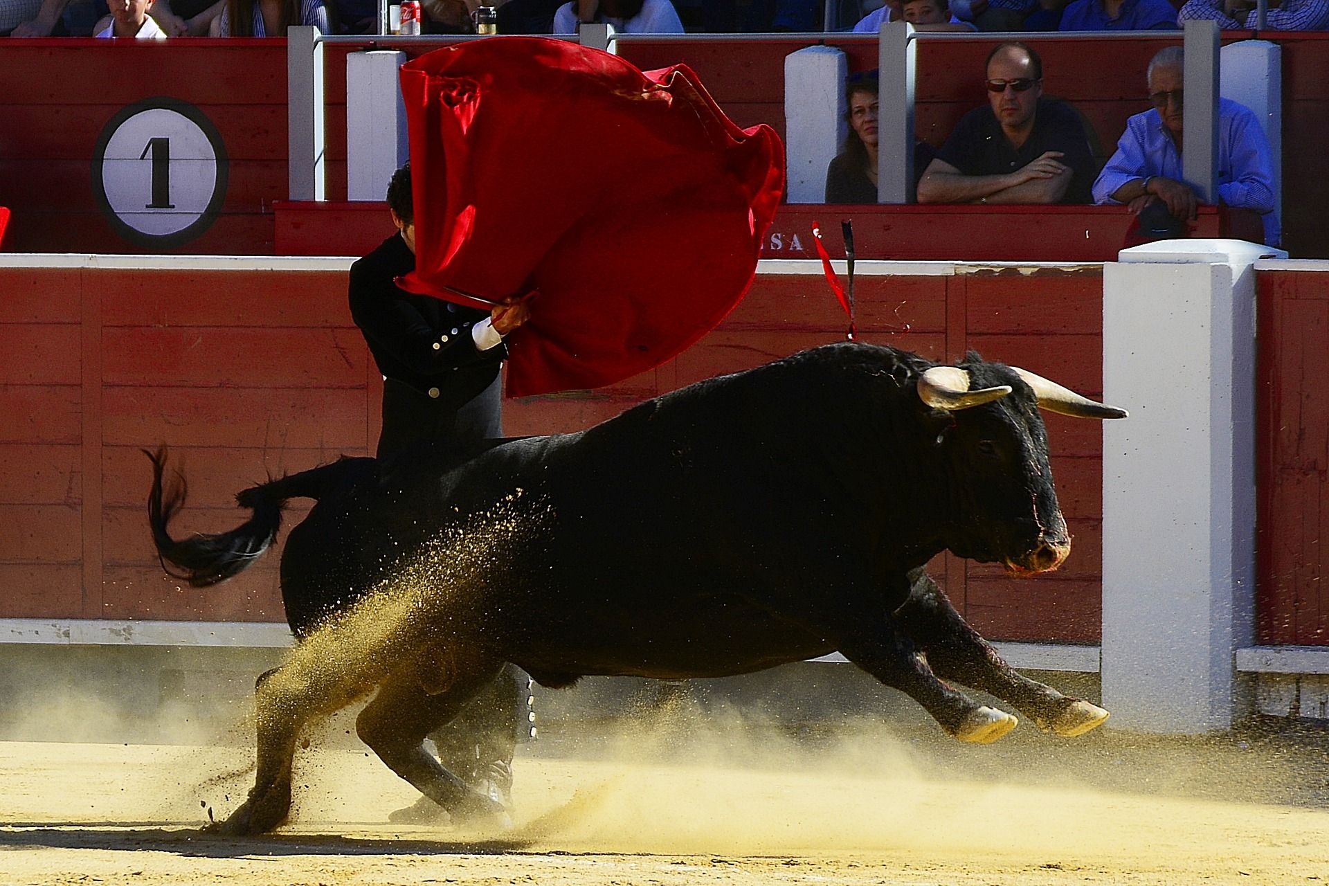 Festejo taurino en una plaza de toros donde se exhiben las corridas de toros de lidia / Foto: Jose Maria Mondejar Martinez - Pixabay  