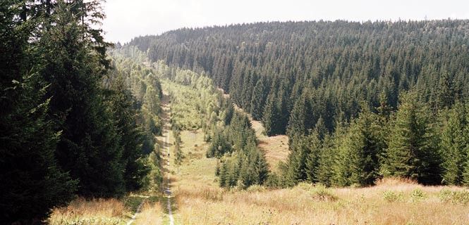 La antigua frontera interalemana en las montañas de Harz / Foto: Wikipedia - Nickel van Duijvenboden