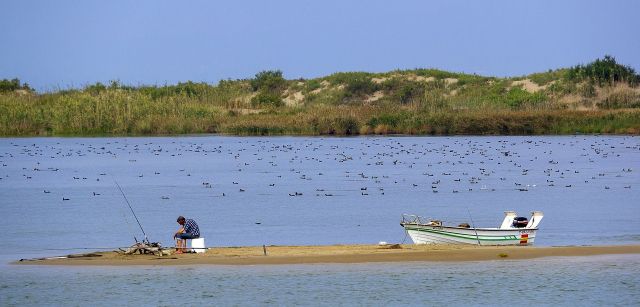 Una persona pesca en un paraje de la cuenca del Ebro donde uso agrícola del agua sigue creciendol / Foto: Manuel Torres Garcia - Pixabay Una persona pesca en un paraje de la cuenca del Ebro donde uso agrícola del agua sigue creciendol / Foto: Manuel Torres Garcia - Pixabay