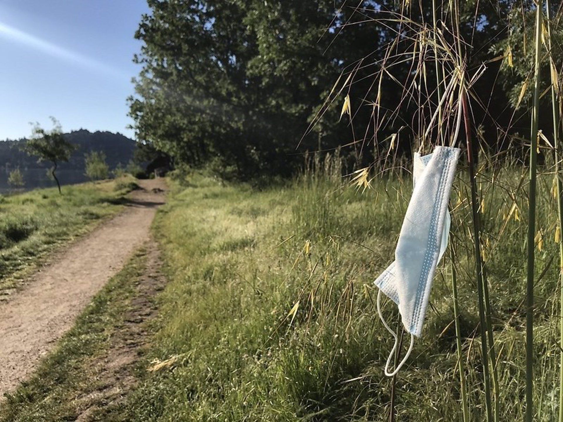 Mascarilla abandonada en la naturaleza. #NoAbandonesTusGuantesYMascarillas / Foto: EP