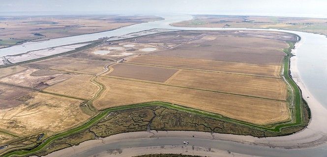 Vista aérea de la isla de Wallasea, en Reino Unido / Foto: CrossRail