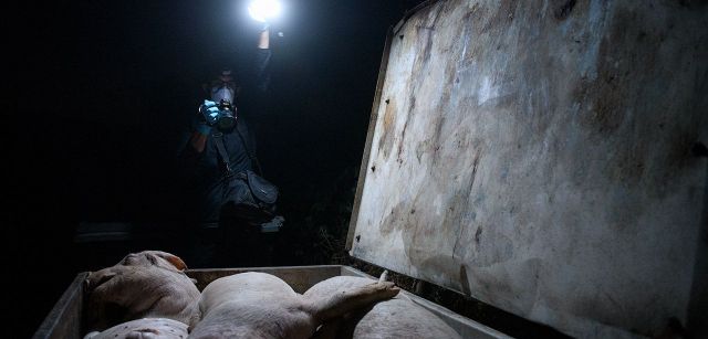 Contenedor de cadáveres, donde se arrojan los cuerpos de los animales que han muerto, a espera de su recogida y posterior eliminación. Castilla-La Mancha, 2020 / Foto: Aitor Garmendia Contenedor de cadáveres, donde se arrojan los cuerpos de los animales que han muerto, a espera de su recogida y posterior eliminación. Castilla-La Mancha, 2020 / Foto: Aitor Garmendia