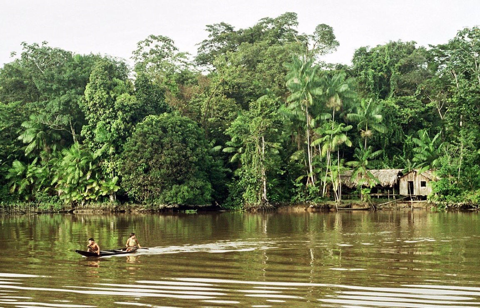 Colombia tiene una evolución de la deforestación de su Amazonía peor que la de Brasil / Foto: EP