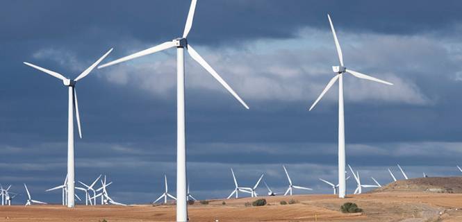 Molinos de viento / Foto: Pedro Sala