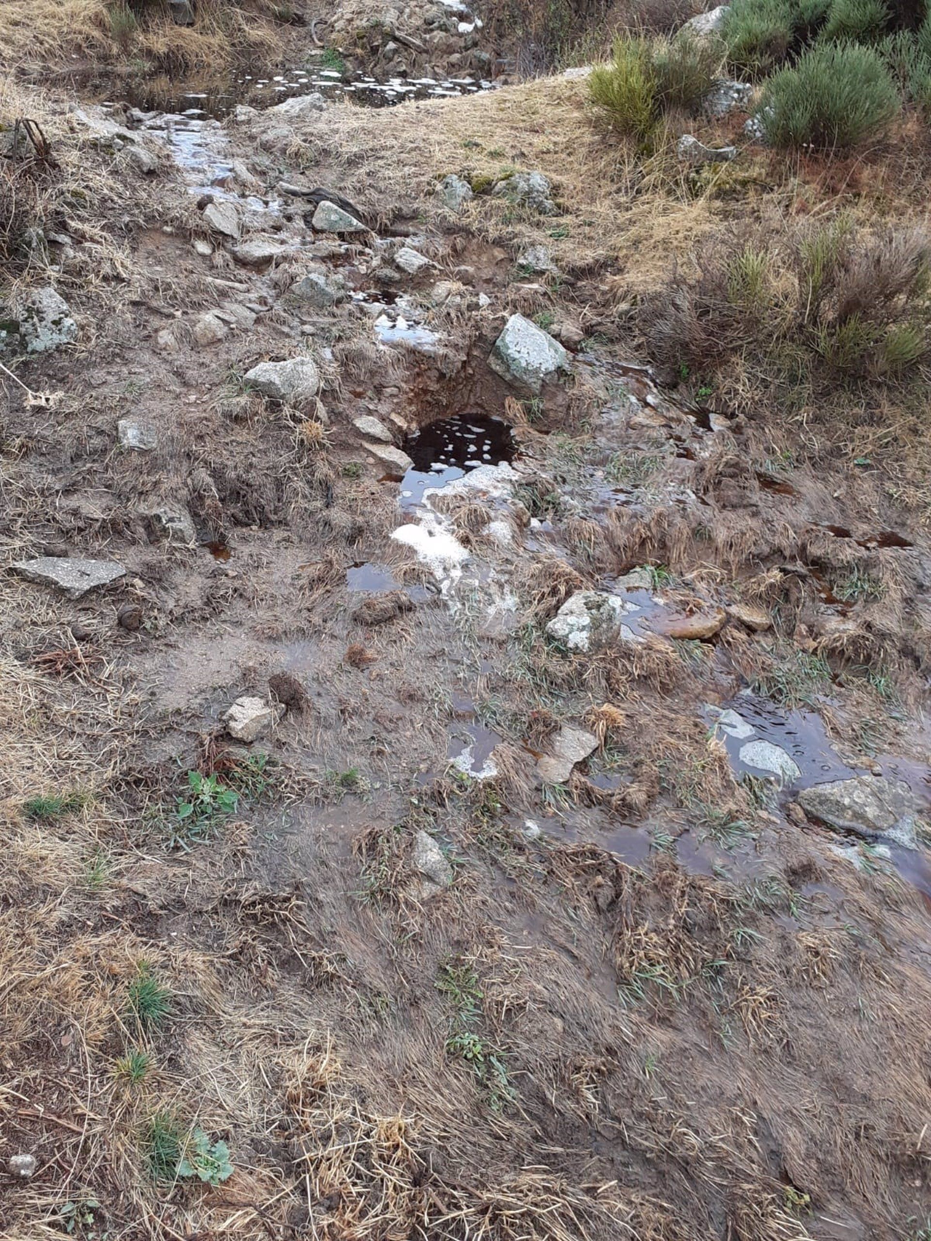 Vertidos de la granja de visones en Peguerinos (Ávila) / Foto: EP