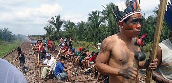 En los 80, del pasado siglo, los awás sufrieron las consecuencias de un proyecto similar / Foto: CIMI - Survival