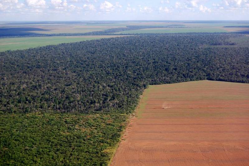 Vista aérea de la deforestación de la selva amazónica en Brasil / Foto: Getty Image