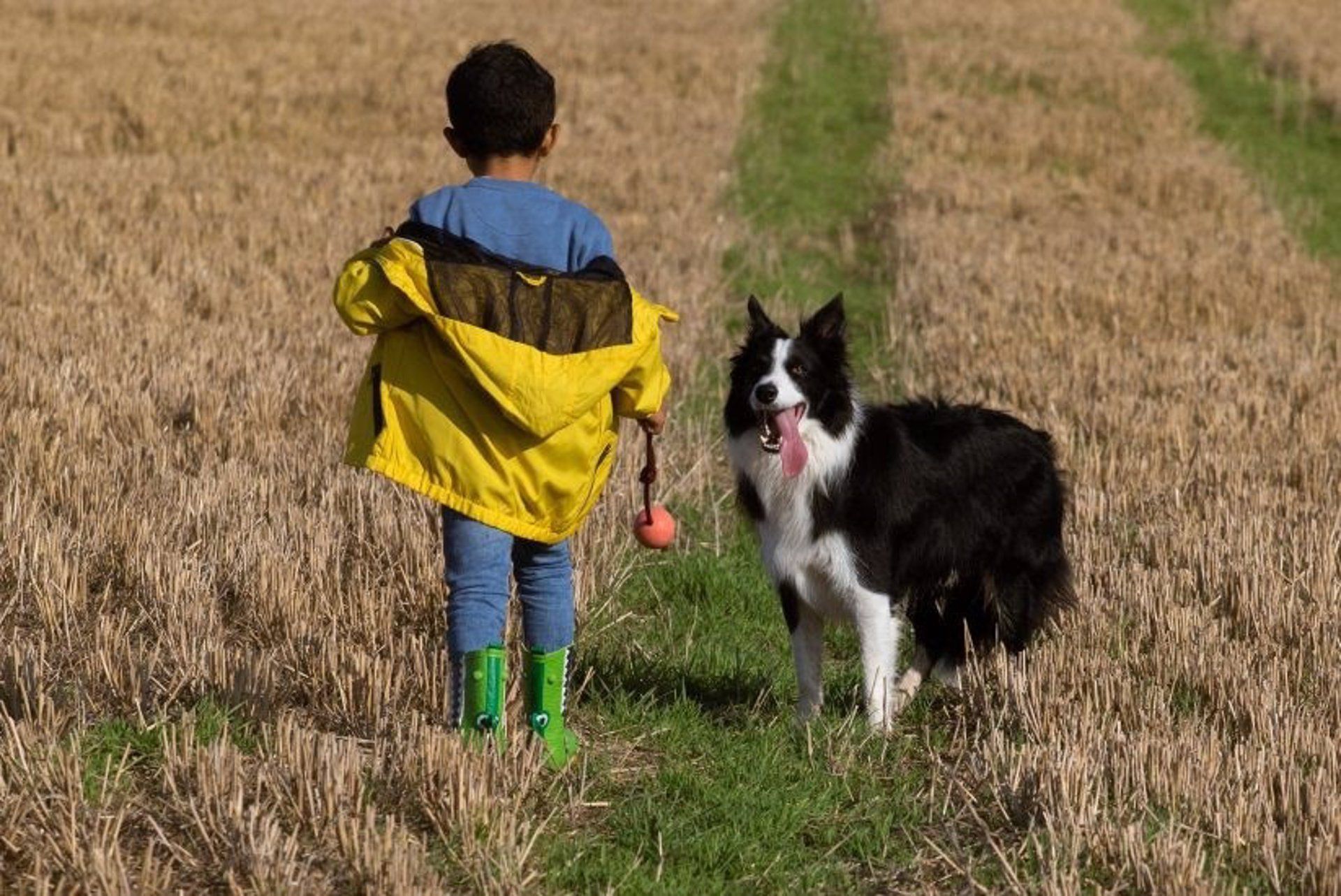 Un niño juega con su mascota. Cultura animal / Foto: EP