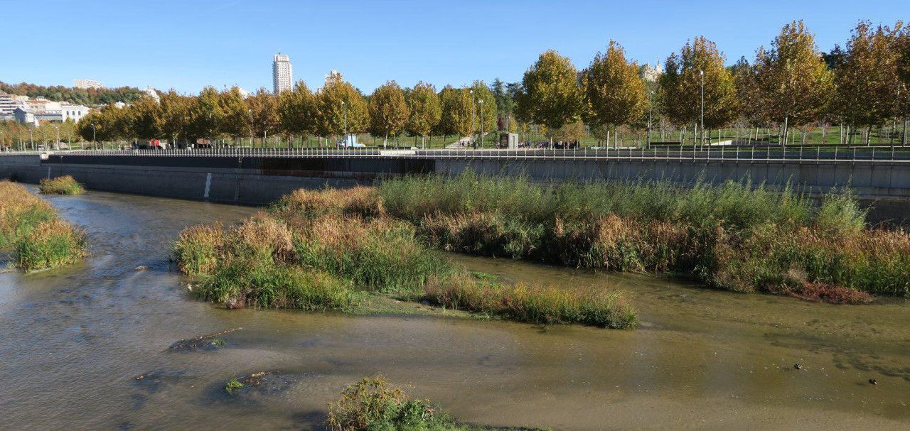 Renaturalización del río Manzanares. Observatorio de Soluciones Basadas en la Naturaleza / Foto: CONAMA - UICN 