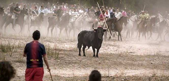 En la localidad de Tordesillas (Valladolid) se lancea y mata a un toro cada año / Foto: Kike Carbajal