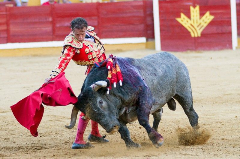 El torero Antonio Ferrera en una corrida de toros en Badajoz (España) el año 2013 / Foto: Otografias