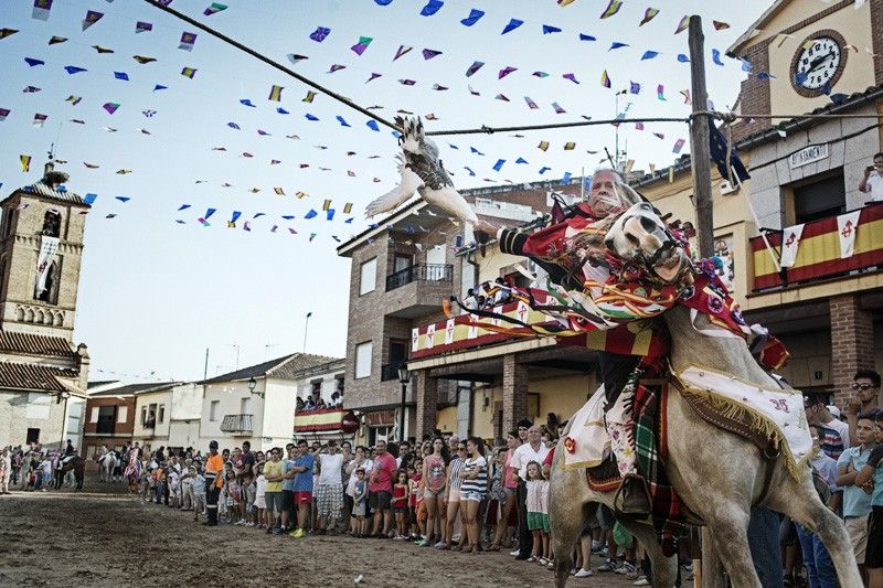 En el pueblo toledano de Carpio de Tajo, cada 25 de julio se organizan las 'corridas de gansos', en las que los jinetes al galope deben arrancar la cabeza de las aves / Foto: Kike Carbajal - EP