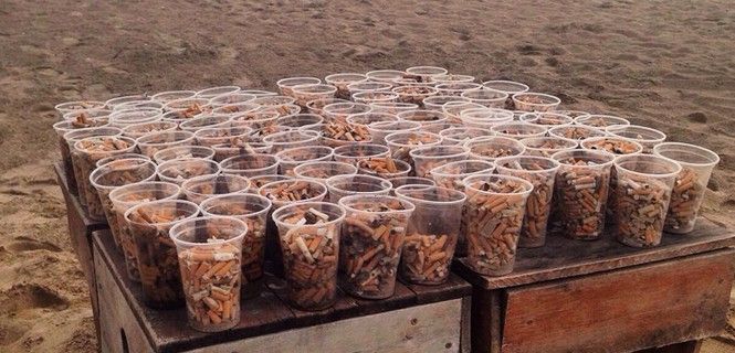 Vasos llenos de boquillas recogidas en la playa de Castelldefels (Barcelona) / Foto: Tibu-Ron Group