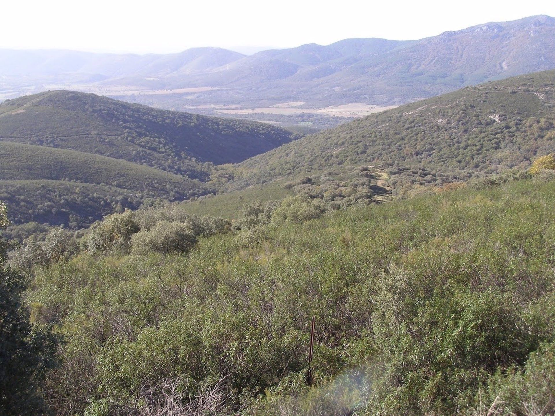 Paisaje del Parque Nacional de Cabañeros. Parques Nacionales / Foto: EP