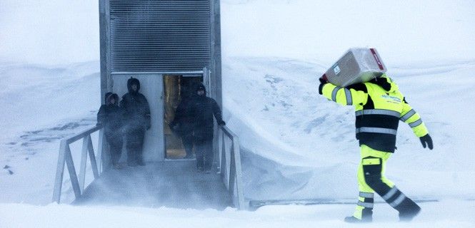 Las simientes se mantienen a una temperatura de 18 grados centígrados bajo cero / Foto: Government.no