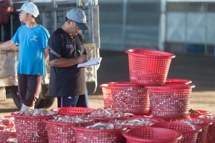 A escala global el nivel de compromiso con los límites de pesca es escaso, lo mismo que la capacidad para hacerlos cumplir / The Conversationn A escala global el nivel de compromiso con los límites de pesca es escaso, lo mismo que la capacidad para hacerlos cumplir / The Conversationn