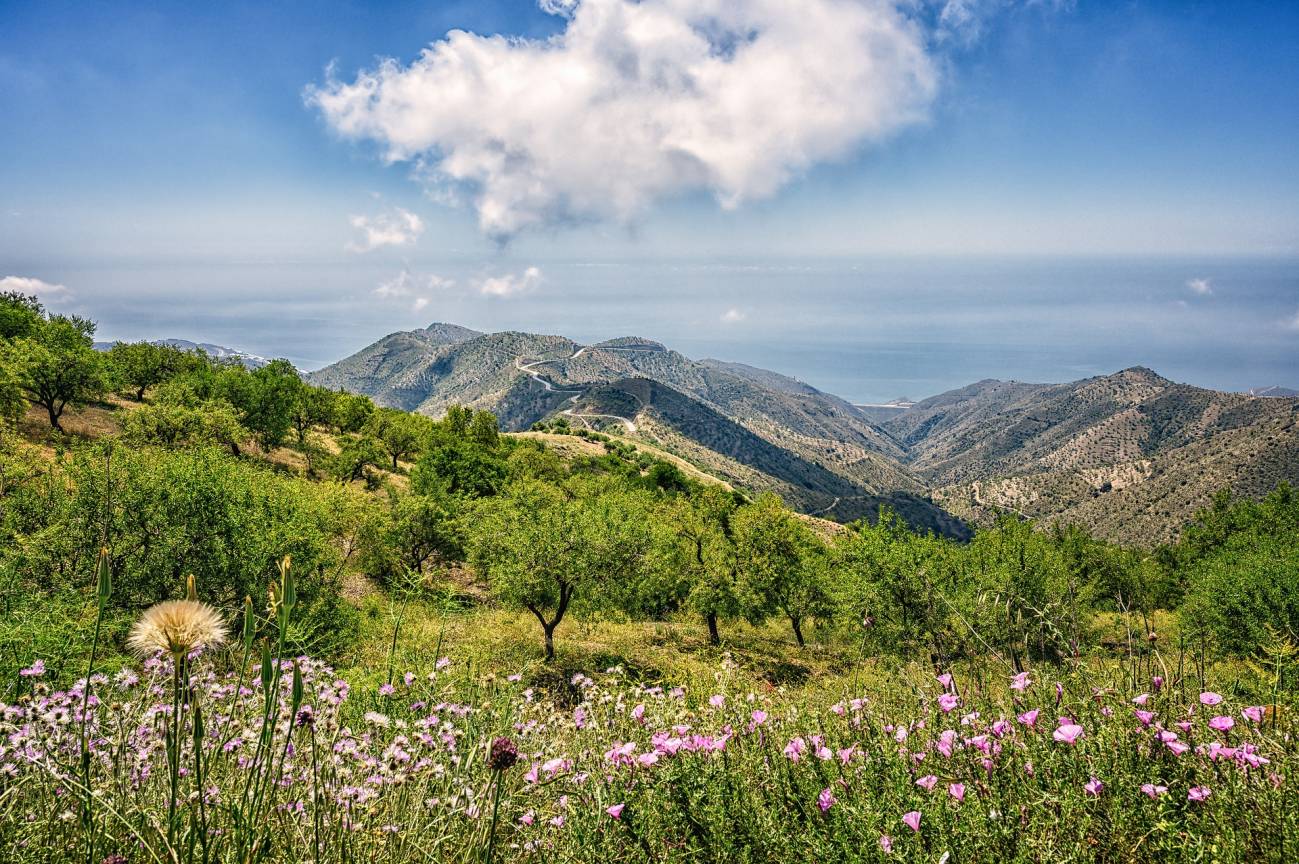 La superficie terrestre protegida alcanzó en 2019 un 33,6 % del territorio español / Foto: SINC