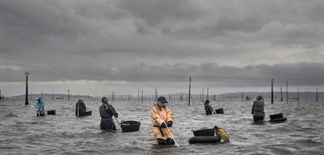 Mariscadoras de las Rías Baixas ¿Las sirenas del Atlántico? / Foto: La Mujer y la Mar