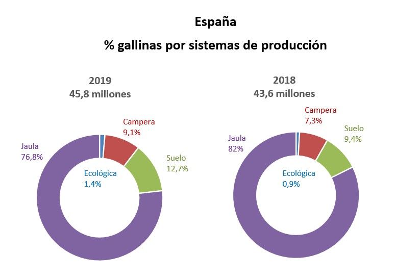Reparto porcentual 2019-2018 del censo de gallinas ponedoras / Gráfico: Inprovo