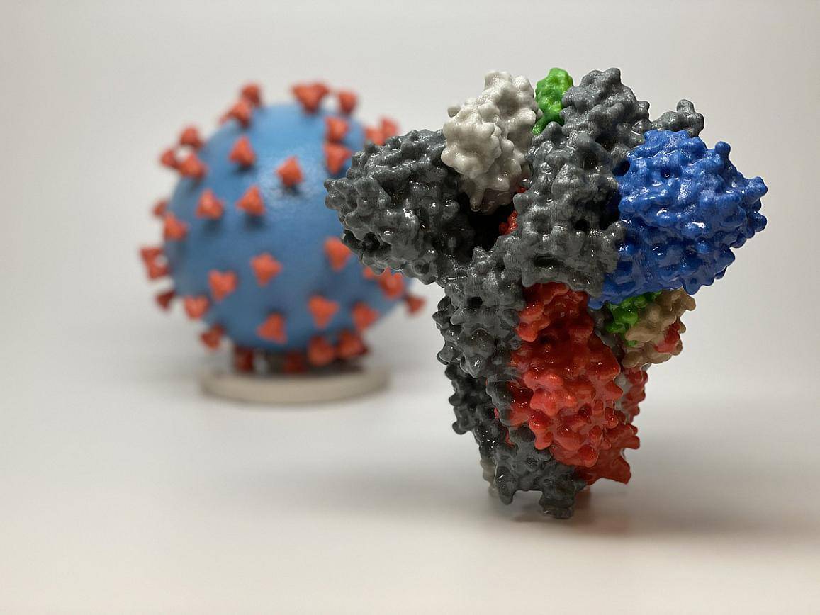 Representación de la proteína spike del SARS-CoV-2 frente a una partícula del virus / Imagen: SINC