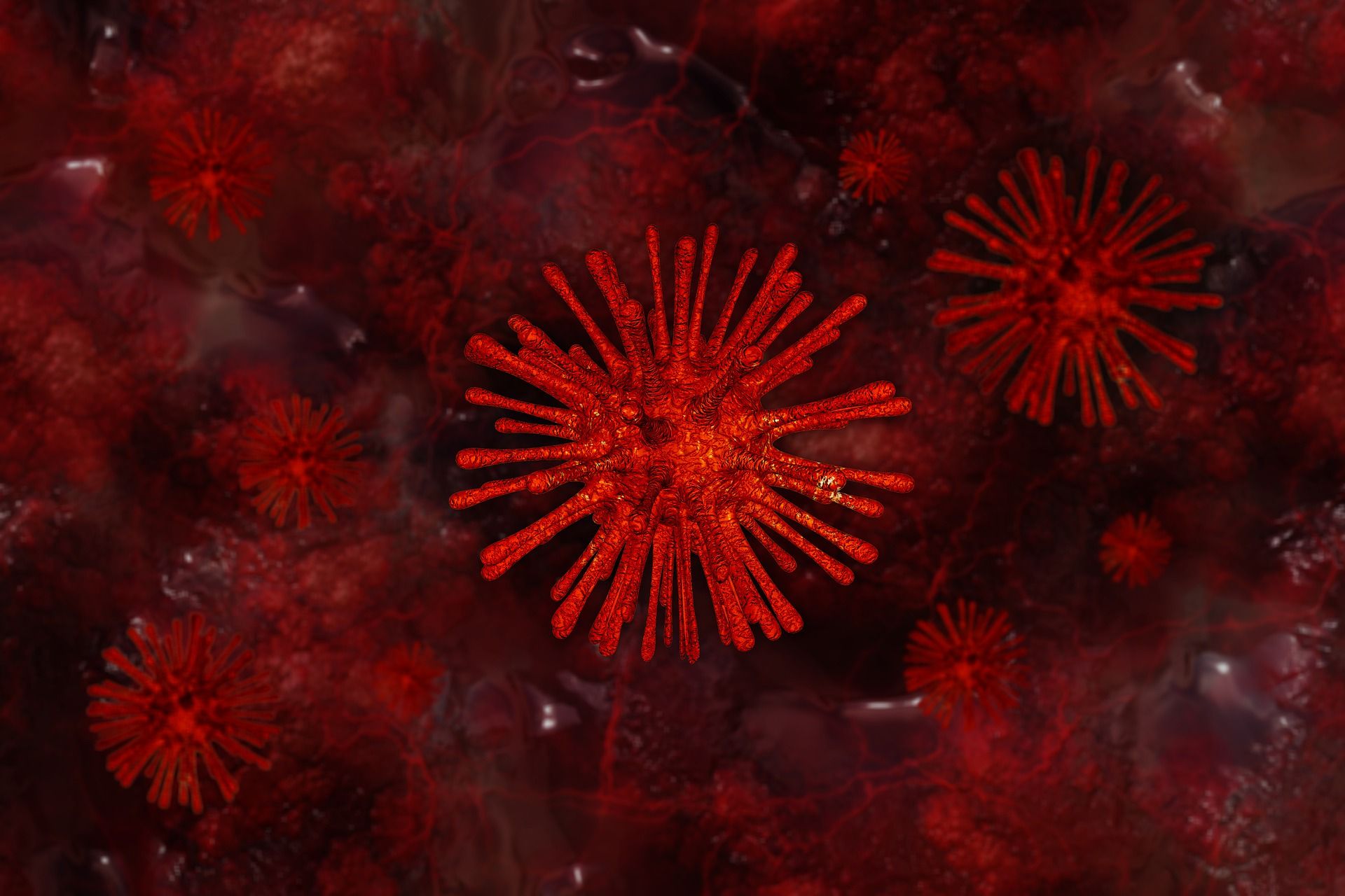 Los virus dominan la Tierra / Imagen: Gerd Altmann - Pixabay