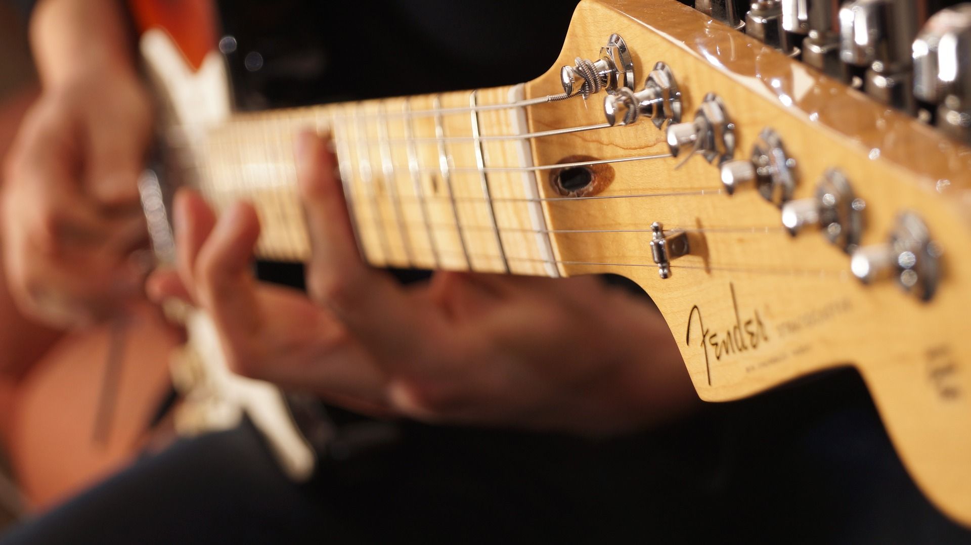 El fresno verde es la especie ideal para fabricar las emblemáticas guitarras de la marca Fender / Foto: JaniSnellman - Pixabay