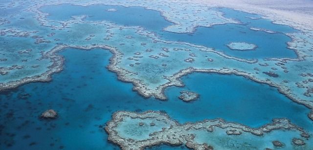 Vista aérea de la Gran Barrera de Coral, frente a la costa de Queensland en el noreste de Australia / Foto: Frauke Feind - Pixabay 