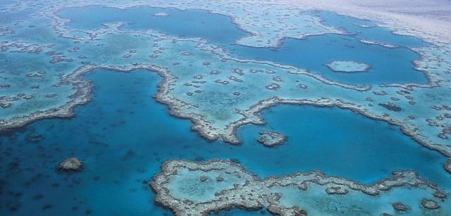 Vista aérea de la Gran Barrera de Coral, frente a la costa de Queensland en el noreste de Australia / Foto: Frauke Feind - Pixabay Vista aérea de la Gran Barrera de Coral, frente a la costa de Queensland en el noreste de Australia / Foto: Frauke Feind - Pixabay