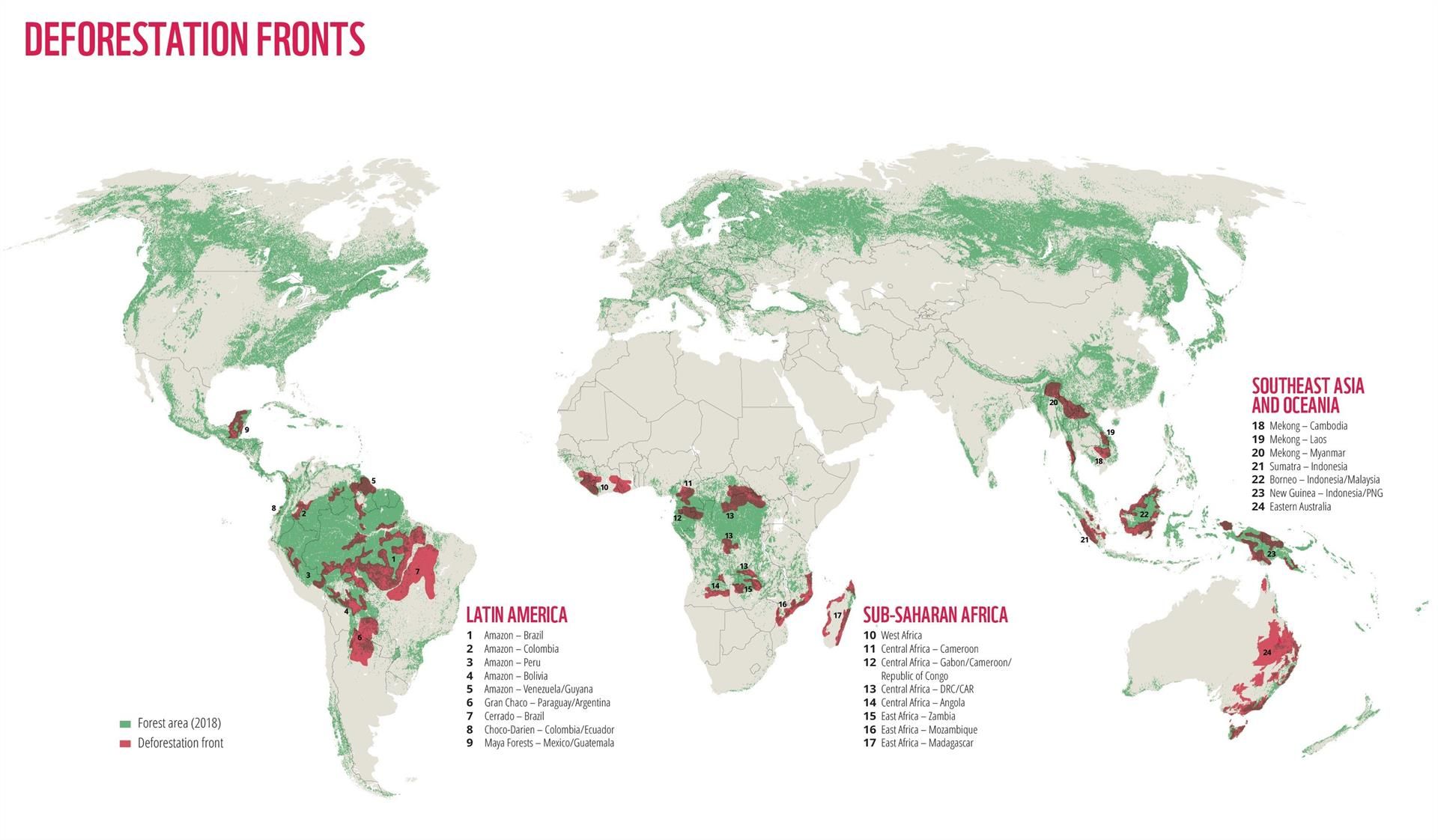 Mapa de la deforestación / Imagen: EP