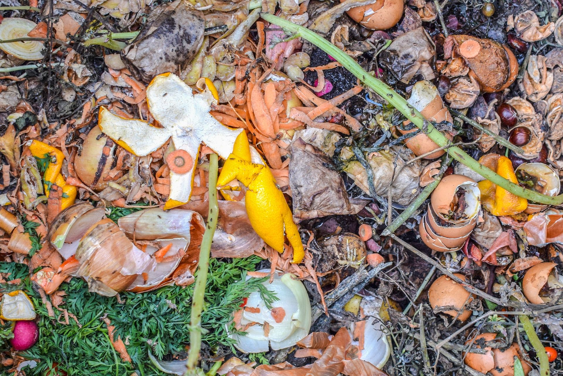 Acumulación de residuos orgánicos urbanos / Foto: Ben Kerckx - Pixabay