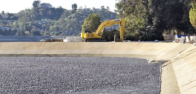 'Shadow balls' flotando en la reserva Ivanhoe, en California / Foto: Junkyardsparkle - Wikipedia