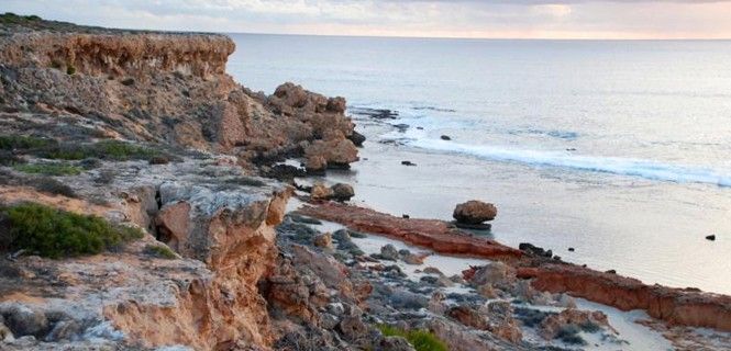 Dirk Hartog se encuentra en la costa de la bahía Shark (Tiburón) / Foto: Carolyn Thomson-Dans