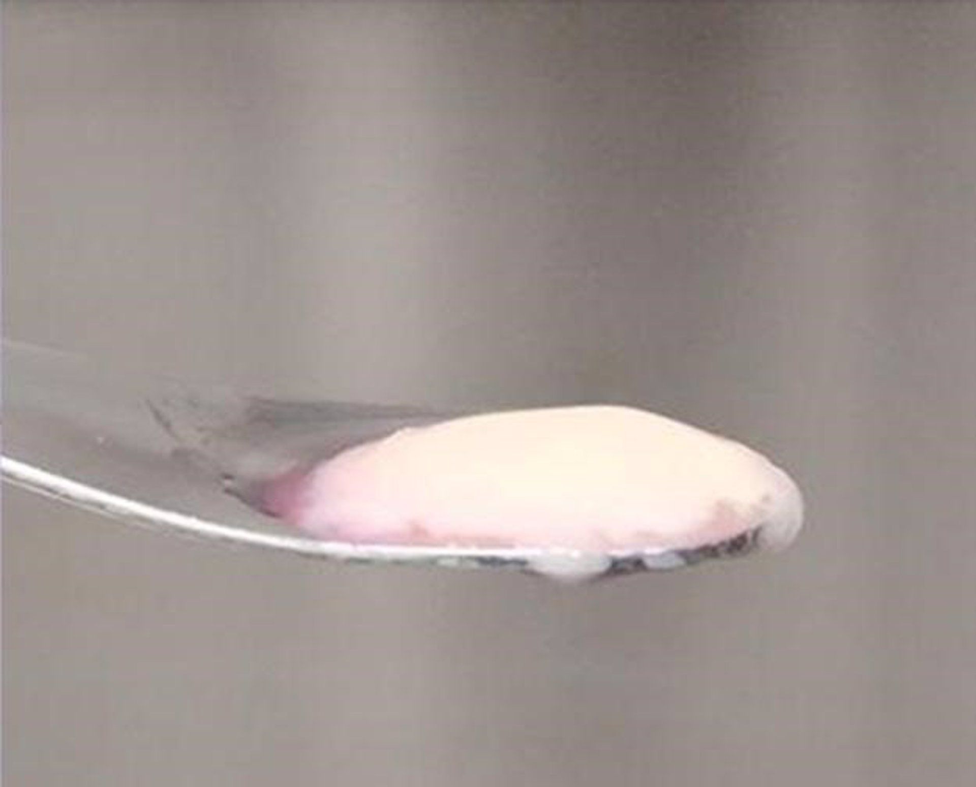 Una muestra de carne cultivada por investigadores de la Universidad McMaster de Canadá, utilizando células de ratón / Foto: EP